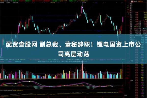 配资查股网 副总裁、董秘辞职！锂电国资上市公司高层动荡