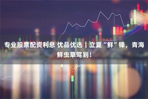 专业股票配资利息 优品优选｜立夏“鲜”锋，青海鲜虫草驾到！