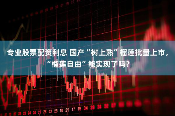 专业股票配资利息 国产“树上熟”榴莲批量上市，“榴莲自由”能实现了吗？