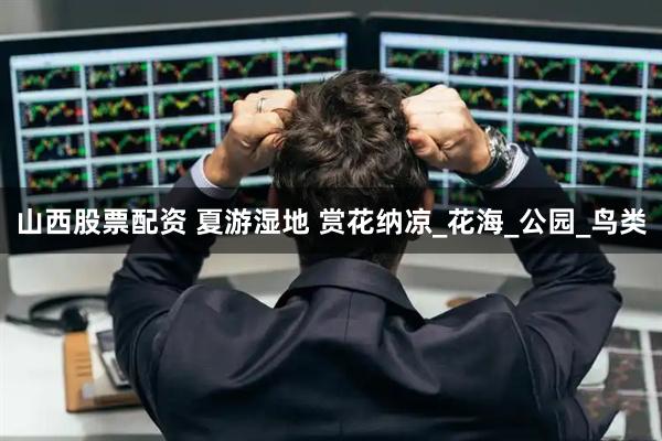 山西股票配资 夏游湿地 赏花纳凉_花海_公园_鸟类