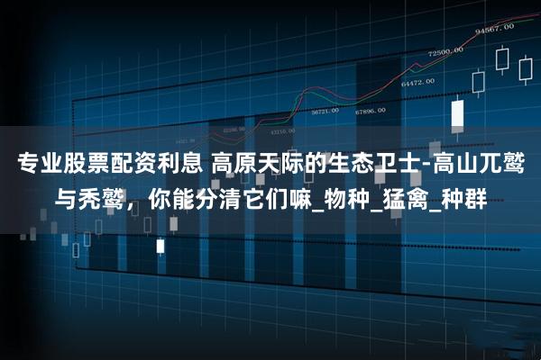 专业股票配资利息 高原天际的生态卫士-高山兀鹫与秃鹫，你能分清它们嘛_物种_猛禽_种群