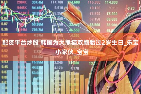 配资平台炒股 韩国为大熊猫双胞胎过2岁生日_乐宝_小家伙_宝宝