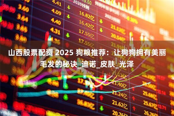山西股票配资 2025 狗粮推荐：让狗狗拥有美丽毛发的秘诀_迪诺_皮肤_光泽