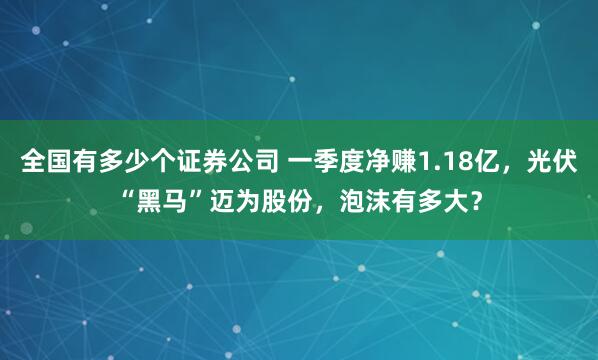 全国有多少个证券公司 一季度净赚1.18亿，光伏“黑马”迈为股份，泡沫有多大？